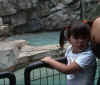 AUTUMN_SEALPOND